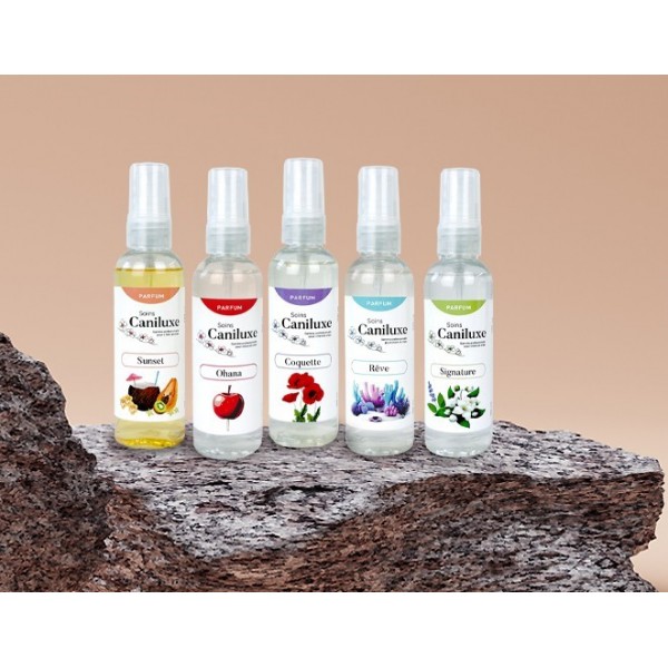 Parfum Pour Chien Coco Vanille - Longue Tenue, Neutralise Les Odeurs, Sans Alcool, 120 Ml