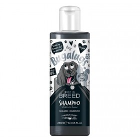 SHAMPOOING DOUX AU CHARBON pour chien BEST IN BREED BUGALUGS