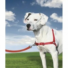 copy of Easy Walker harnais coulissant pour chien KARLIE