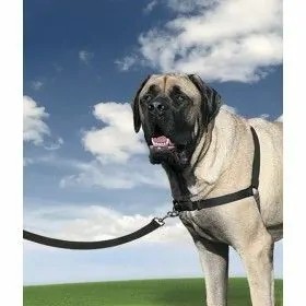 HARNAIS ET LAISSE EASYWALK pour chien en nylon noir BEEZTEES