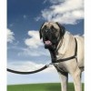 HARNAIS ET LAISSE EASYWALK pour chien en nylon noir BEEZTEES-DOGFRENCHTOUCH