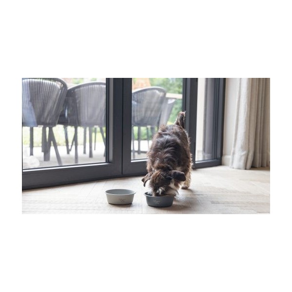GAMELLE pour chien acier inoxydable FERIBO DESIGNED BY LOTTE