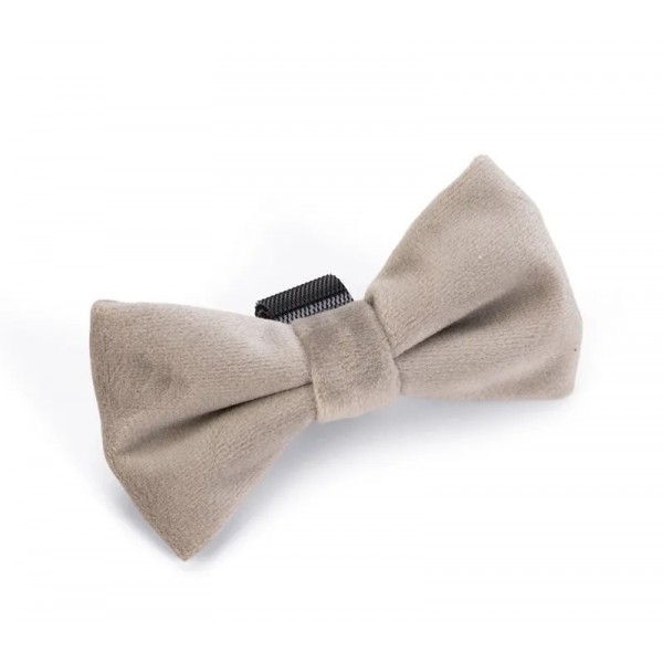 NOEUD PAPILLON pour chien en velours couleur gris ZAZA DESIGNED BY LOTTE