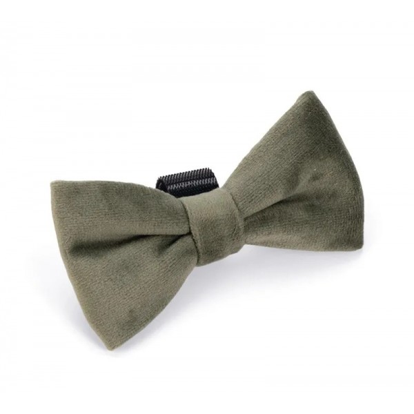 NOEUD PAPILLON pour chien en velours couleur vert ZAZA DESIGNED BY LOTTE