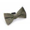 NOEUD PAPILLON pour chien en velours couleur vert ZAZA DESIGNED BY LOTTE