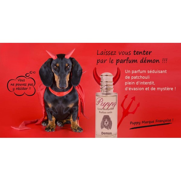 PARFUM pour chien et chiot 250ml DEMON PUPPY