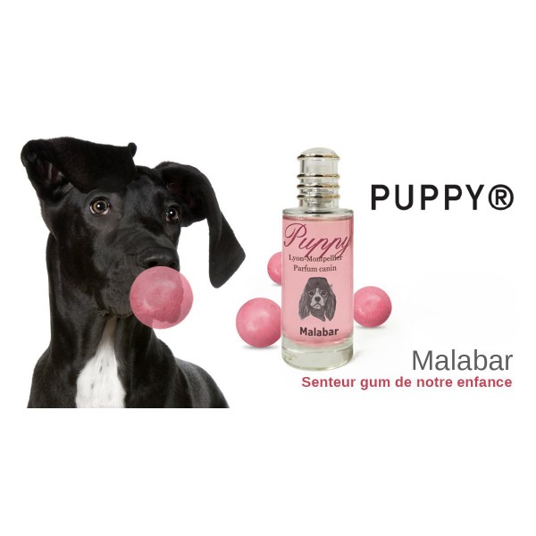 PARFUM pour chien et chiot 8ml MALABAR PUPPY