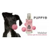 PARFUM pour chien et chiot 8ml MALABAR PUPPY