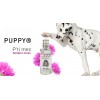 PARFUM pour chien et chiot 8ml P'TIT MEC PUPPY