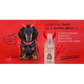 PARFUM pour chien et chiot 50ml DEMON PUPPY-DOGFRENCHTOUCH