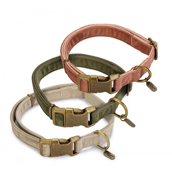 COLLIER VELOURS pour chien couleur vert VELURA DESIGNED BY LOTTE