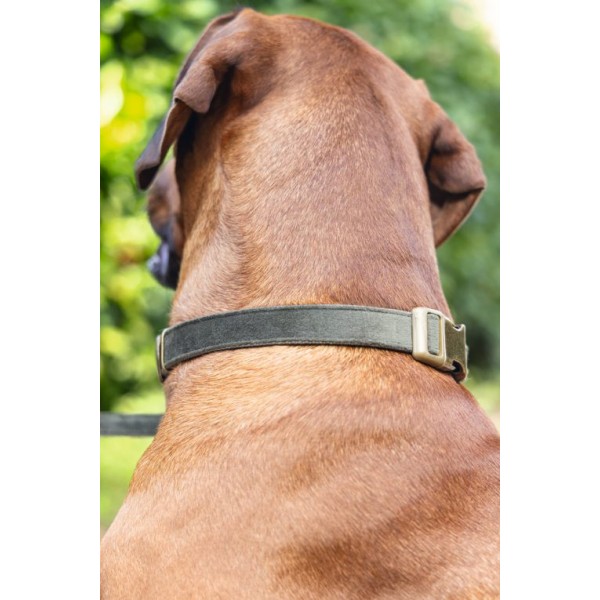 COLLIER VELOURS pour chien couleur vert VELURA DESIGNED BY LOTTE