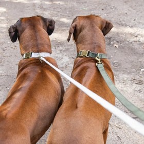 copy of Nœud papillon à carreaux pour chien CAMON