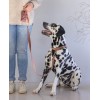 LAISSE VELOURS pour chien couleur rose VELURA DESIGNED BY LOTTE