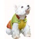 Doudoune Aspin pour chien DogFrenchTouch