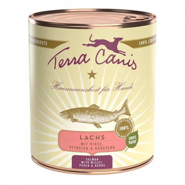 LOT DE 6 Patée pour chien CLASSIC au SAUMON 800g TERRA CANIS
