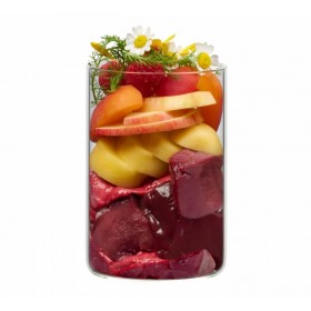 copy of Terra Canis Grain Free 6x