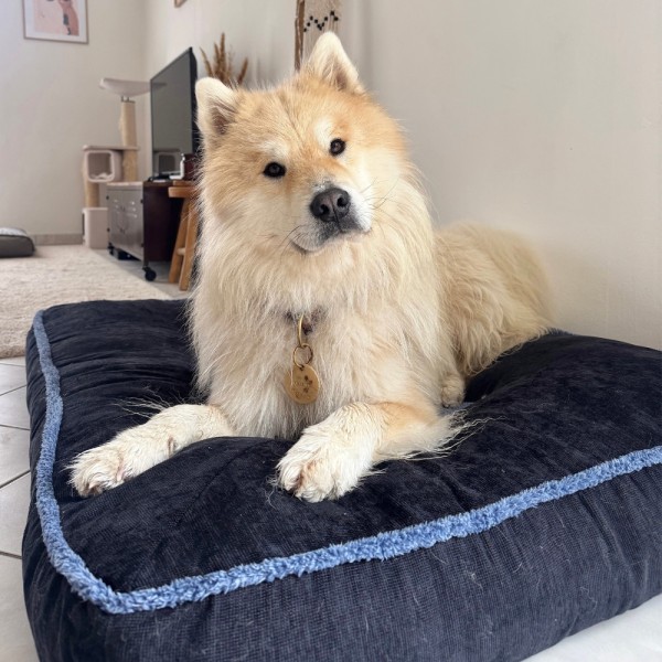 COUSSIN BORD EPAIS pour chien et chat bleu noir Collection DOUDOUZEN MARTIN SELLIER