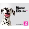 MAISON CACHETTE pour chien et chat Collection FAUBOURG couleur chataigne MARTIN SELLIER