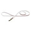 LAISSE pour chien couleur rose VIRANTE DESIGNED BY LOTTE