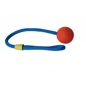 JOUET pour chien BALL'N'ROPE BALLE et CORDE RUBB'N'ROLL