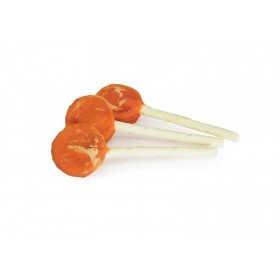 FRIANDISES pour chien LOLLIPOP au POULET CAMON