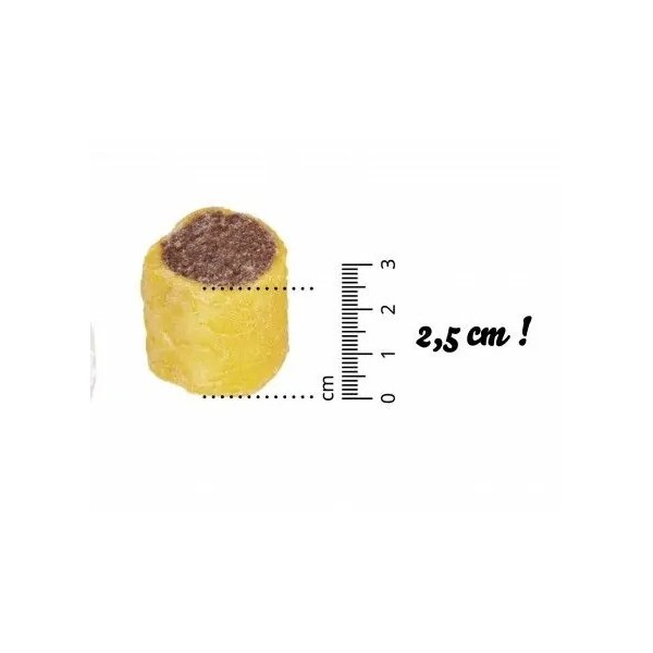 Biscuits fourrés à la volaille pour chiens CAMON