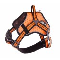 Harnais multisport orange ARKA DOG pour chien ARKA HAOK