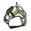 Harnais MULTISPORT pour chien couleur jaune MARTIN SELLIER