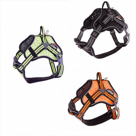 Harnais multisport gris ARKA DOG pour chien ARKA HAOK