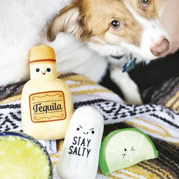 JOUET pour chien LOT DE 3 PELUCHES TEQUILA sonores PEARHEAD