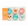 LOT DE 6 MAGNETS chien PEARHEAD
