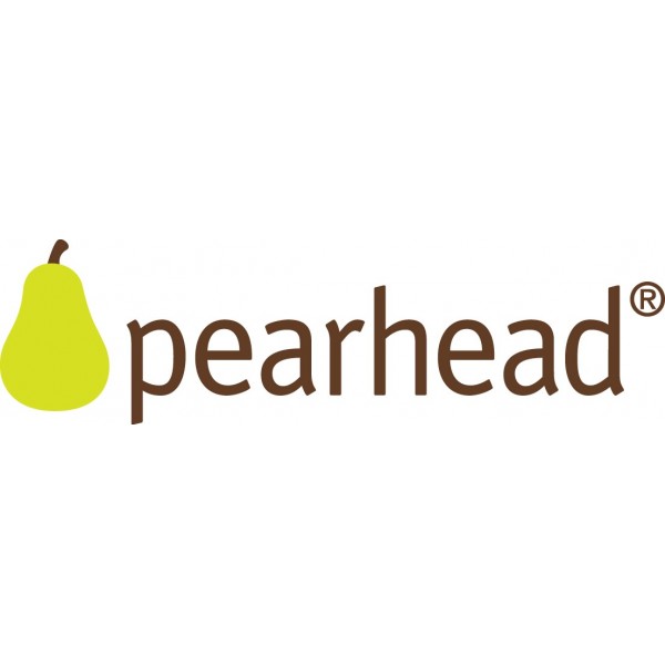 LOT DE 6 MAGNETS chat PEARHEAD