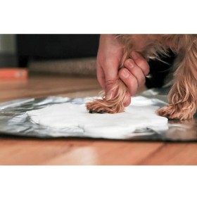 copy of Double cadre photo avec empreinte de patte en plâtre Pearhead