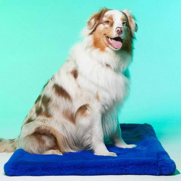 TAPIS pour chien et chat LONDRES couleur bleu LE TAPIS ROUGE