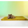 TAPIS pour chien et chat NEW YORK couleur jaune LE TAPIS ROUGE