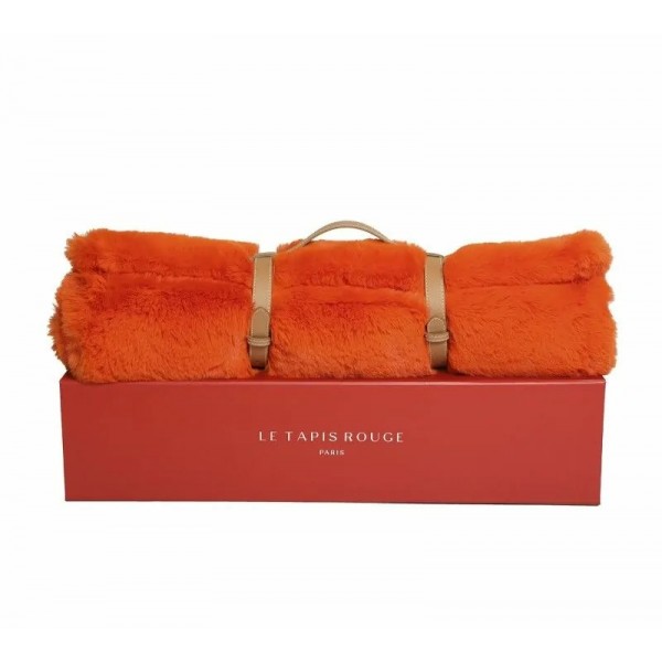 copy of TAPIS pour chien PARIS couleur rouge LE TAPIS ROUGE