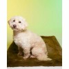 TAPIS pour chien et chat UBUD couleur marron LE TAPIS ROUGE