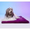 TAPIS pour chien et chat TOKYO couleur mauve LE TAPIS ROUGE