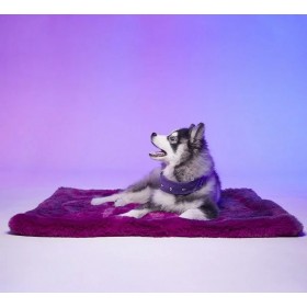 copy of TAPIS pour chien PARIS couleur rouge LE TAPIS ROUGE
