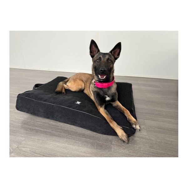COUSSIN MASTER pour chien ou chat Collection ELEGANTE couleur noir MARTIN SELLIER