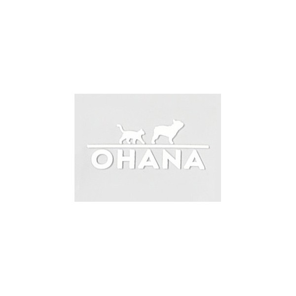 copy of CORBEILLE pour chien couleur beige VIENNA OHANA