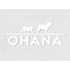 DONUT pour chien couleur gris ATHENS OHANA