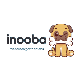 FRIANDISES pour chien SEAU biscuits forme mini os 1KG INOOBA