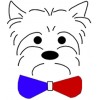 PEIGNOIR DE BAIN pour chien couleur arc en ciel DOGFRENCHTOUCH