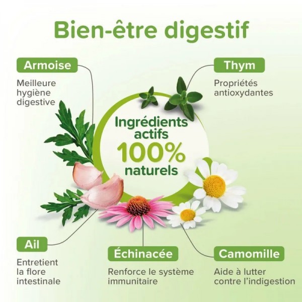 COMPRIMES PURGE AUX PLANTES pour chien et chiot BEAPHAR