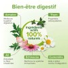 SOLUTION LIQUIDE PURGE AUX PLANTES pour chat et chaton VERMIPURE BEAPHAR
