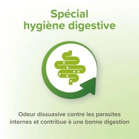 Comprimés purge aux plantes chat Beaphar