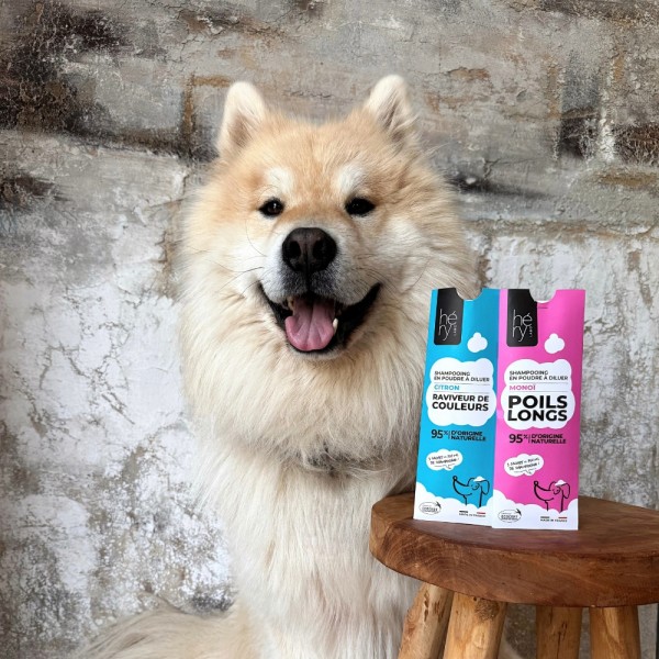 SHAMPOOING POUDRE A DILUER pour chien POILS LONGS HERY