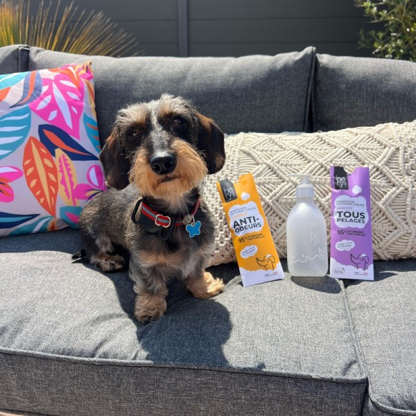 SHAMPOOING POUDRE A DILUER pour chien TOUS PELAGES HERY